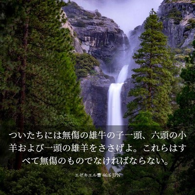 Picture 03 - エゼキエル書 46:6 JPN - ついたちには無傷の雄牛の子一頭、 - Bible Verse Picture