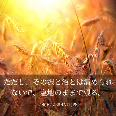 Picture 03 - エゼキエル書 47:11 JPN - ただし、その沢と沼とは清められな - Bible Verse Picture