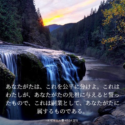 Picture 03 - エゼキエル書 47:14 JPN - あなたがたは、これを公平に分けよ - Bible Verse Picture