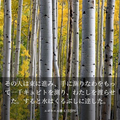Picture 03 - エゼキエル書 47:3 JPN - その人は東に進み、手に測りなわを - Bible Verse Picture