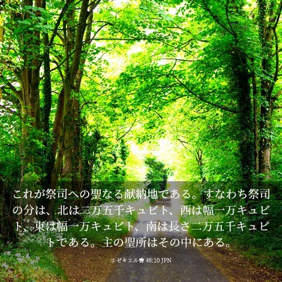 Picture 03 - エゼキエル書 48:10 JPN - これが祭司への聖なる献納地である - Bible Verse Picture