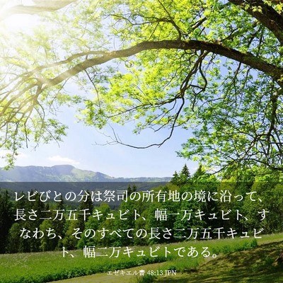 Picture 03 - エゼキエル書 48:13 JPN - レビびとの分は祭司の所有地の境に - Bible Verse Picture