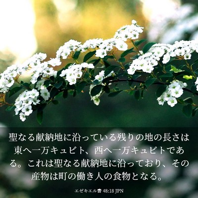 Picture 03 - エゼキエル書 48:18 JPN - 聖なる献納地に沿っている残りの地 - Bible Verse Picture