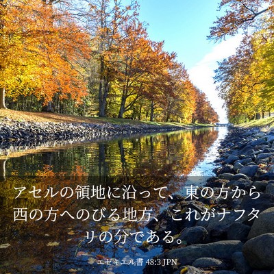 Picture 03 - エゼキエル書 48:3 JPN - アセルの領地に沿って、東の方から - Bible Verse Picture