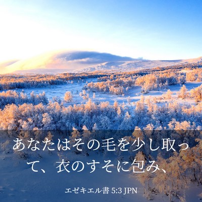 Picture 03 - エゼキエル書 5:3 JPN - あなたはその毛を少し取って、衣の - Bible Verse Picture