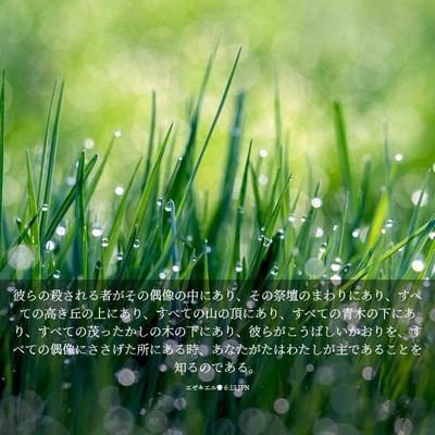 Picture 03 - エゼキエル書 6:13 JPN - 彼らの殺される者がその偶像の中に - Bible Verse Picture