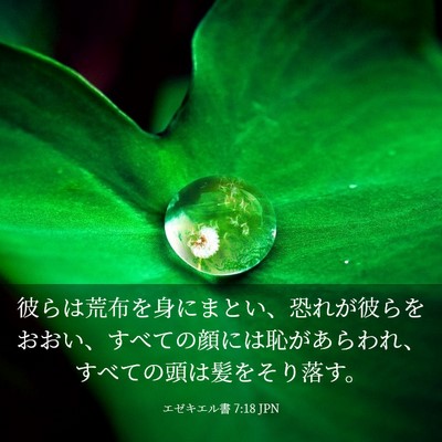 Picture 03 - エゼキエル書 7:18 JPN - 彼らは荒布を身にまとい、恐れが彼 - Bible Verse Picture