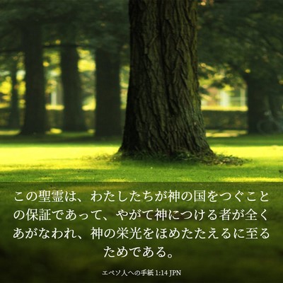 Picture 03 - エペソ人への手紙 1:14 JPN - この聖霊は、わたしたちが神の国を - Bible Verse Picture