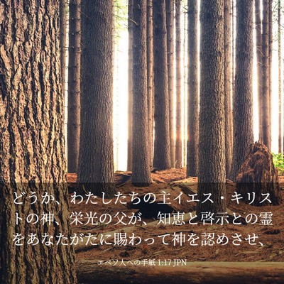 Picture 03 - エペソ人への手紙 1:17 JPN - どうか、わたしたちの主イエス・キ - Bible Verse Picture
