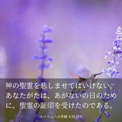 Picture 03 - エペソ人への手紙 4:30 JPN - 神の聖霊を悲しませてはいけない。 - Bible Verse Picture