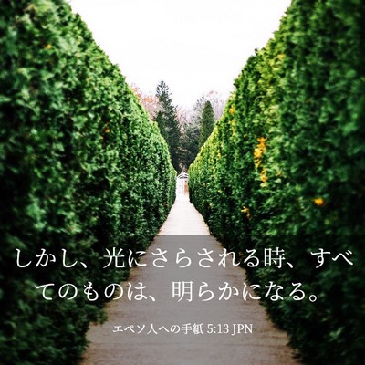 Picture 03 - エペソ人への手紙 5:13 JPN - しかし、光にさらされる時、すべて - Bible Verse Picture