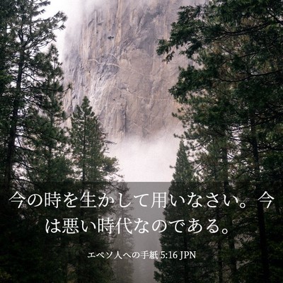 Picture 03 - エペソ人への手紙 5:16 JPN - 今の時を生かして用いなさい。今は - Bible Verse Picture