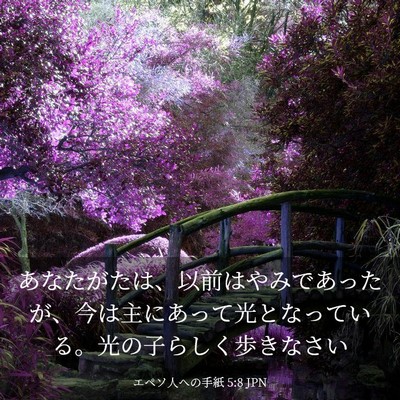 Picture 03 - エペソ人への手紙 5:8 JPN - あなたがたは、以前はやみであった - Bible Verse Picture