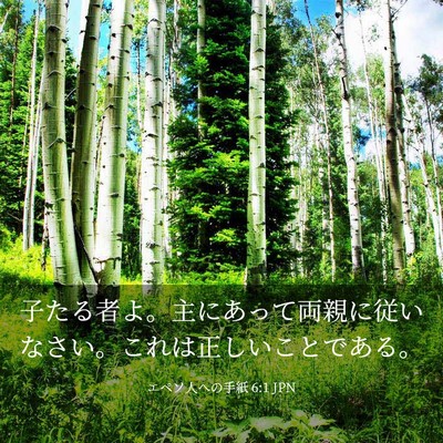Picture 03 - エペソ人への手紙 6:1 JPN - 子たる者よ。主にあって両親に従い - Bible Verse Picture