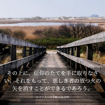 Picture 03 - エペソ人への手紙 6:16 JPN - その上に、信仰のたてを手に取りな - Bible Verse Picture