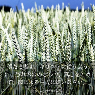 Picture 03 - エペソ人への手紙 6:5 JPN - 僕たる者よ。キリストに従うように - Bible Verse Picture