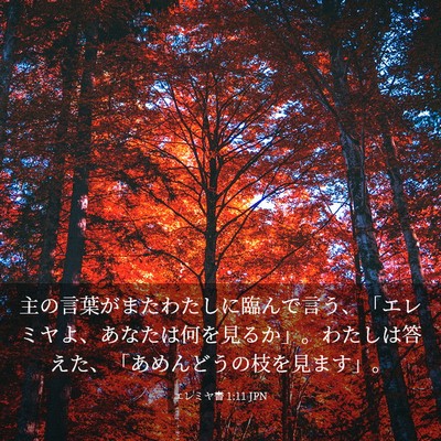 Picture 03 - エレミヤ書 1:11 JPN - 主の言葉がまたわたしに臨んで言う - Bible Verse Picture