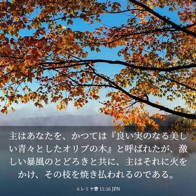 Picture 03 - エレミヤ書 11:16 JPN - 主はあなたを、かつては『良い実の - Bible Verse Picture