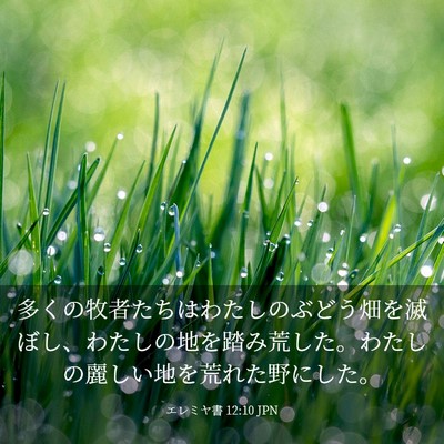 Picture 03 - エレミヤ書 12:10 JPN - 多くの牧者たちはわたしのぶどう畑 - Bible Verse Picture