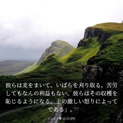 Picture 03 - エレミヤ書 12:13 JPN - 彼らは麦をまいて、いばらを刈り取 - Bible Verse Picture