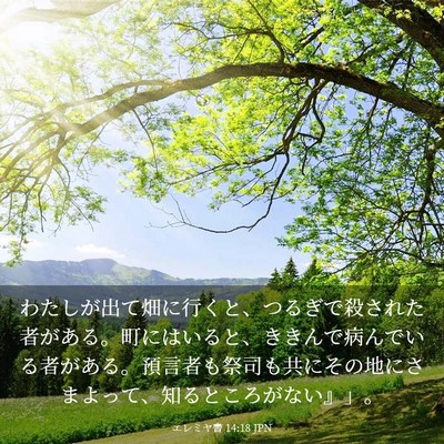 Picture 03 - エレミヤ書 14:18 JPN - わたしが出て畑に行くと、つるぎで - Bible Verse Picture