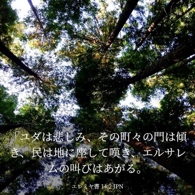 Picture 03 - エレミヤ書 14:2 JPN - 「ユダは悲しみ、その町々の門は傾 - Bible Verse Picture