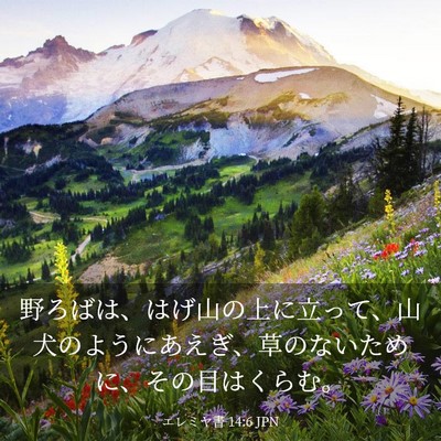 Picture 03 - エレミヤ書 14:6 JPN - 野ろばは、はげ山の上に立って、山 - Bible Verse Picture