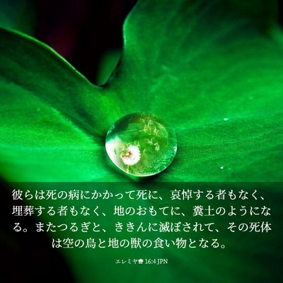Picture 03 - エレミヤ書 16:4 JPN - 彼らは死の病にかかって死に、哀悼 - Bible Verse Picture