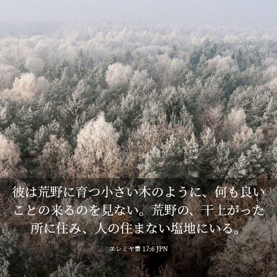 Picture 03 - エレミヤ書 17:6 JPN - 彼は荒野に育つ小さい木のように、 - Bible Verse Picture