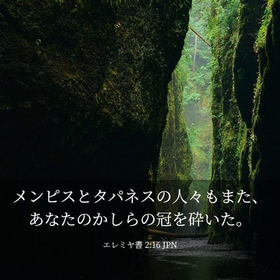 Picture 03 - エレミヤ書 2:16 JPN - メンピスとタパネスの人々もまた、 - Bible Verse Picture