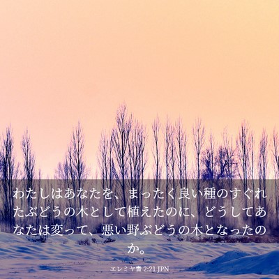 Picture 03 - エレミヤ書 2:21 JPN - わたしはあなたを、まったく良い種 - Bible Verse Picture