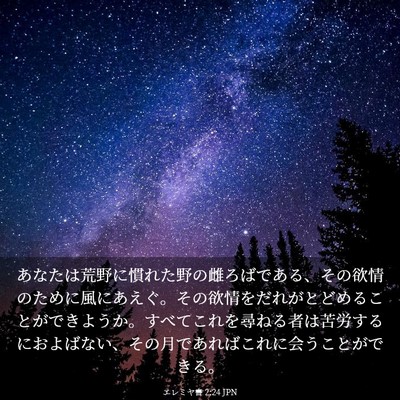 Picture 03 - エレミヤ書 2:24 JPN - あなたは荒野に慣れた野の雌ろばで - Bible Verse Picture