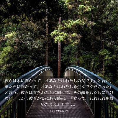 Picture 03 - エレミヤ書 2:27 JPN - 彼らは木に向かって、『あなたはわ - Bible Verse Picture