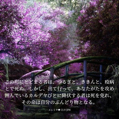 Picture 03 - エレミヤ書 21:9 JPN - この町にとどまる者は、つるぎと、 - Bible Verse Picture