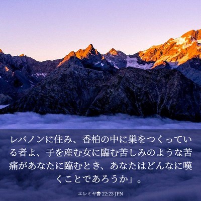 Picture 03 - エレミヤ書 22:23 JPN - レバノンに住み、香柏の中に巣をつ - Bible Verse Picture