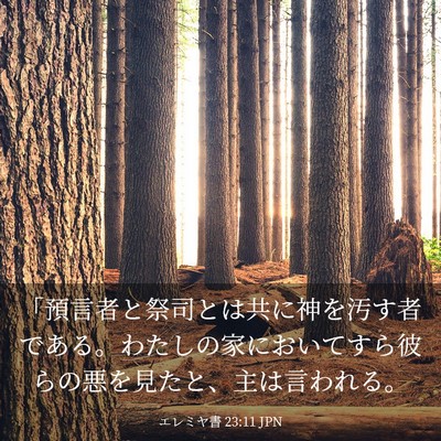 Picture 03 - エレミヤ書 23:11 JPN - 「預言者と祭司とは共に神を汚す者 - Bible Verse Picture