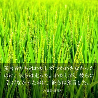 Picture 03 - エレミヤ書 23:21 JPN - 預言者たちはわたしがつかわさなか - Bible Verse Picture