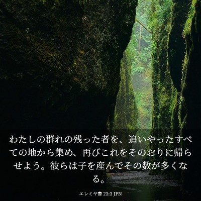 Picture 03 - エレミヤ書 23:3 JPN - わたしの群れの残った者を、追いや - Bible Verse Picture