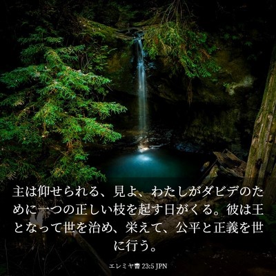 Picture 03 - エレミヤ書 23:5 JPN - 主は仰せられる、見よ、わたしがダ - Bible Verse Picture