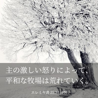 Picture 03 - エレミヤ書 25:37 JPN - 主の激しい怒りによって、平和な牧 - Bible Verse Picture