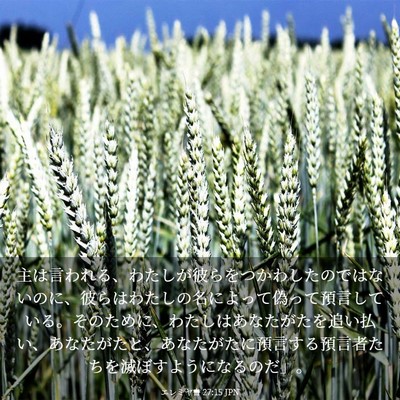 Picture 03 - エレミヤ書 27:15 JPN - 主は言われる、わたしが彼らをつか - Bible Verse Picture