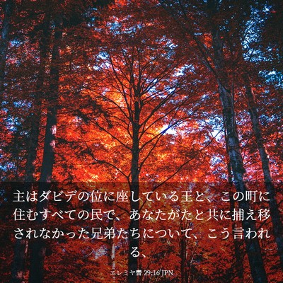 Picture 03 - エレミヤ書 29:16 JPN - 主はダビデの位に座している王と、 - Bible Verse Picture