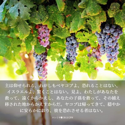 Picture 03 - エレミヤ書 30:10 JPN - 主は仰せられる、わがしもべヤコブ - Bible Verse Picture