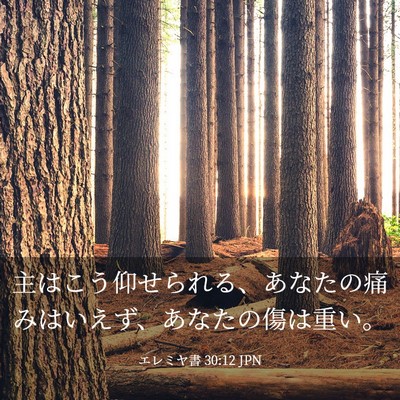 Picture 03 - エレミヤ書 30:12 JPN - 主はこう仰せられる、あなたの痛み - Bible Verse Picture