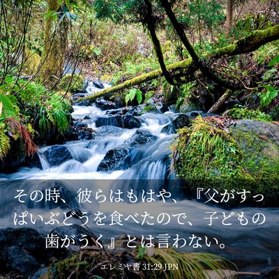 Picture 03 - エレミヤ書 31:29 JPN - その時、彼らはもはや、『父がすっ - Bible Verse Picture