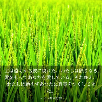 Picture 03 - エレミヤ書 31:3 JPN - 主は遠くから彼に現れた。わたしは - Bible Verse Picture