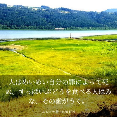 Picture 03 - エレミヤ書 31:30 JPN - 人はめいめい自分の罪によって死ぬ - Bible Verse Picture