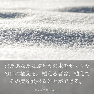 Picture 03 - エレミヤ書 31:5 JPN - またあなたはぶどうの木をサマリヤ - Bible Verse Picture