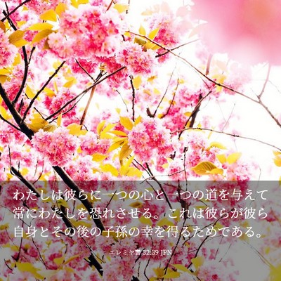 Picture 03 - エレミヤ書 32:39 JPN - わたしは彼らに一つの心と一つの道 - Bible Verse Picture