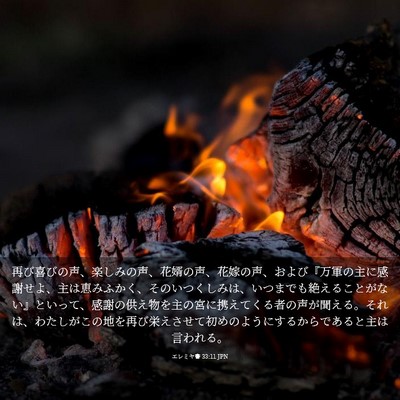 Picture 03 - エレミヤ書 33:11 JPN - 再び喜びの声、楽しみの声、花婿の - Bible Verse Picture